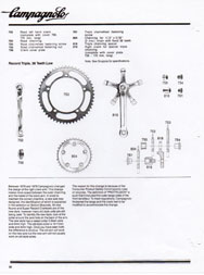 31 tooth chainring Campagnolo